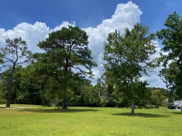 Edisto Island, SC 29438,25 Blackbear Rd