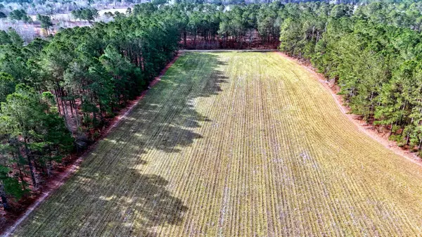 Salters, SC 29590,210 Taft Rd