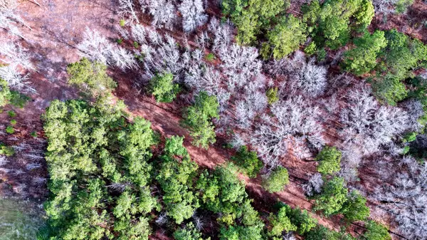 Salters, SC 29590,210 Taft Rd