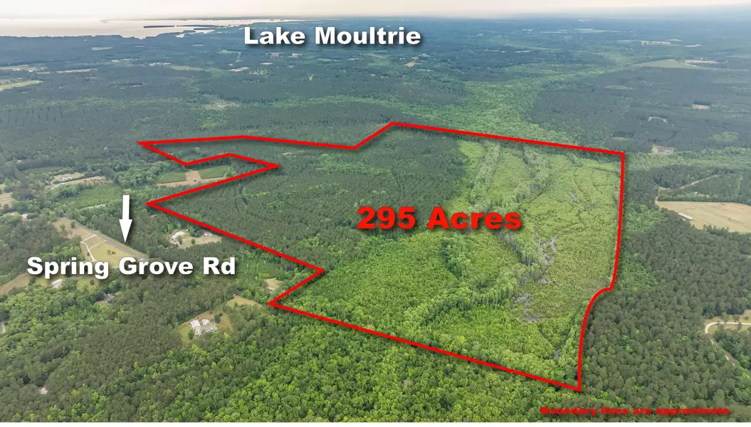 0 Spring Grove Rd, Bonneau, SC 29431