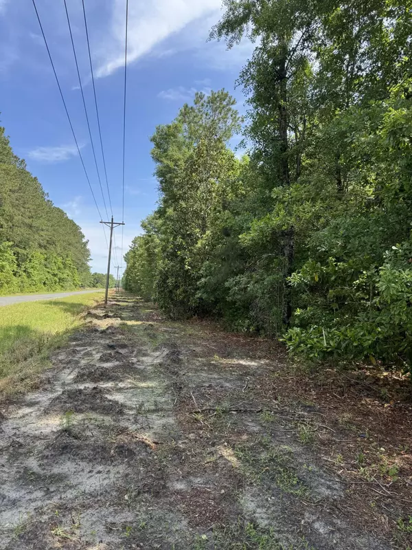 Walterboro, SC 29488,1-F Mt Carmel Rd
