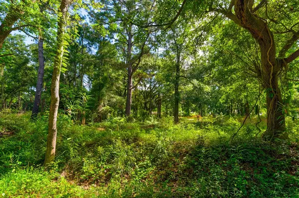 James Island, SC 29412,000 Arsburn Rd
