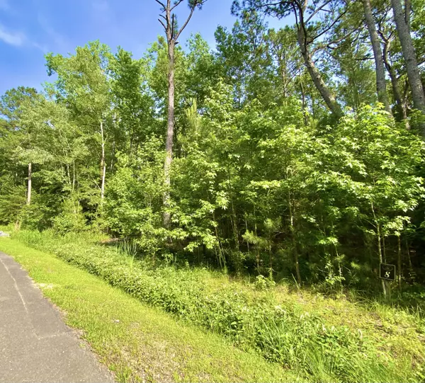 Ravenel, SC 29470,Lot 8 Buttonbush Dr