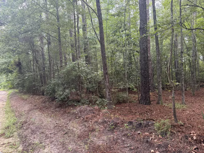 00 Charles St, Varnville, SC 29944