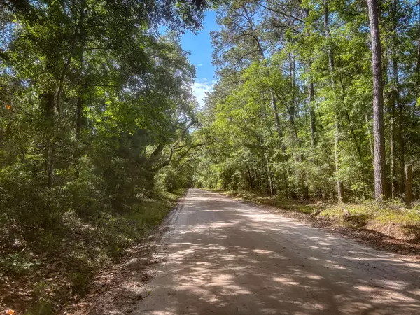 2127 Leadenwah Dr, Wadmalaw Island, SC 29487