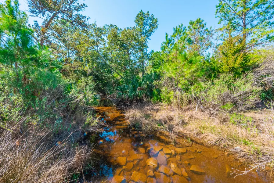 0 King Rail Ln, Edisto Island, SC 29438