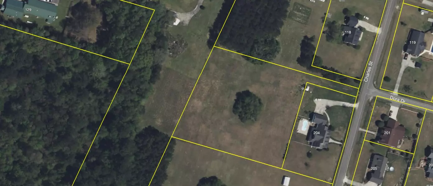 200 Charles St, Saint George, SC 29477