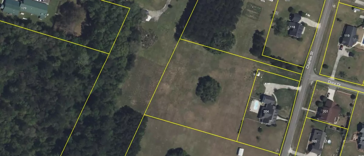 Saint George, SC 29477,200 Charles St