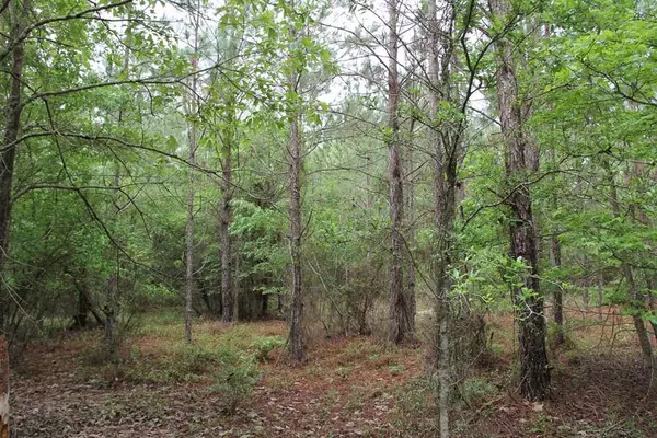 Orangeburg, SC 29118,00 Stacey Bridge Rd