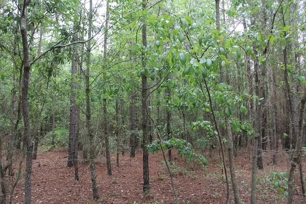 Orangeburg, SC 29118,00 Stacey Bridge Rd