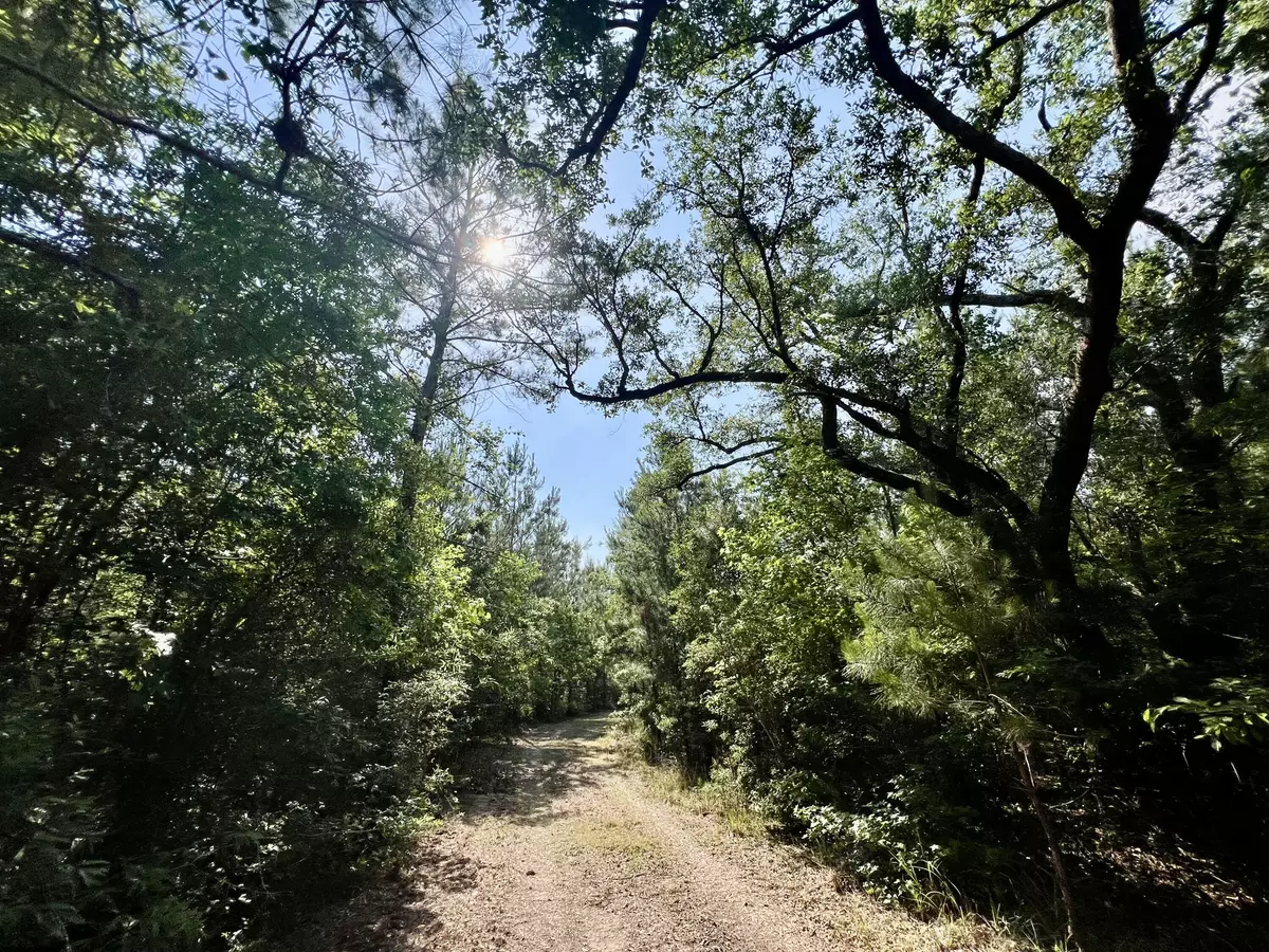 Georgetown, SC 29440,678 Meria Dr