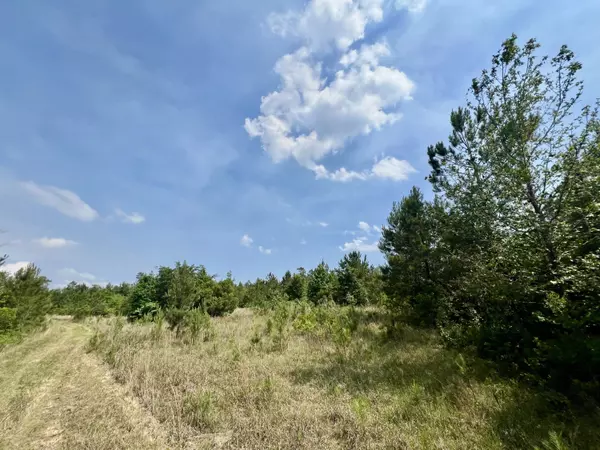 Georgetown, SC 29440,678 Meria Dr