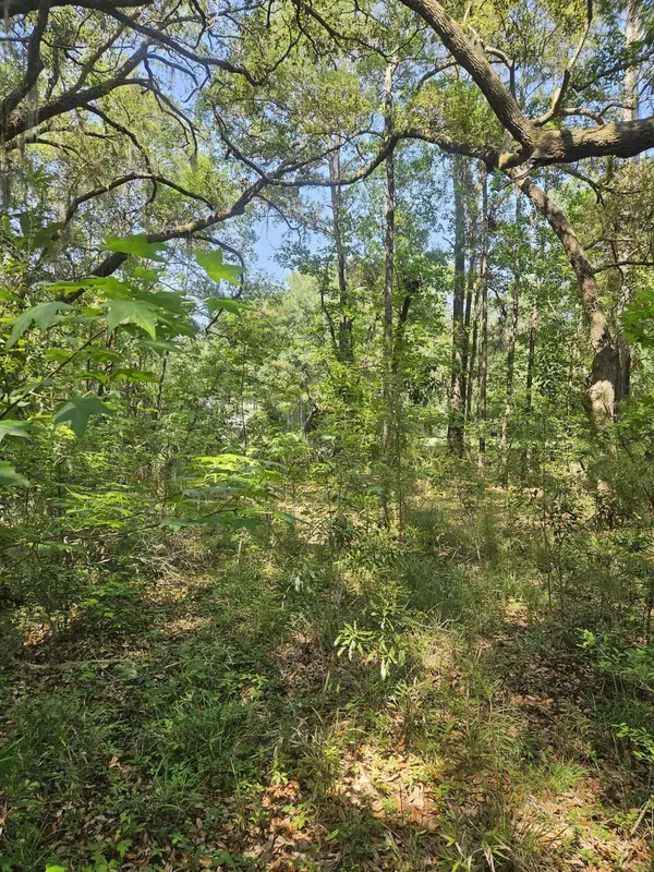 Johns Island, SC 29455,4281 Haulover Dr