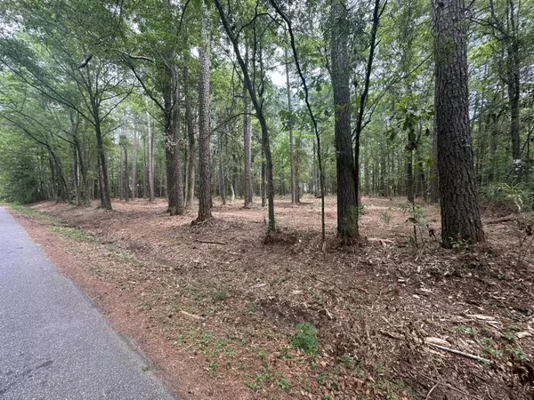 Summerville, SC 29483,103 Caveson Dr