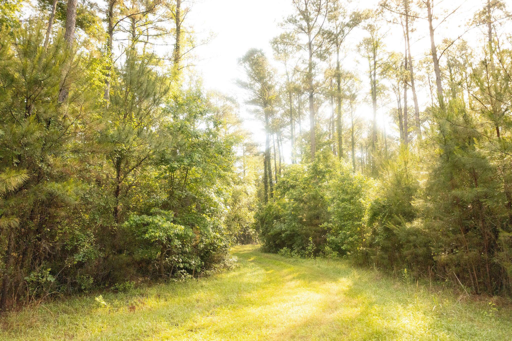 Cottageville, SC 29435,1a Red Oak Rd