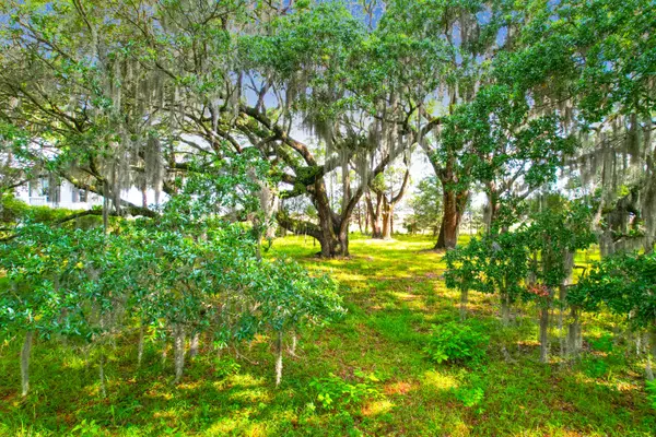 Johns Island, SC 29455,1452 McPherson Lndg
