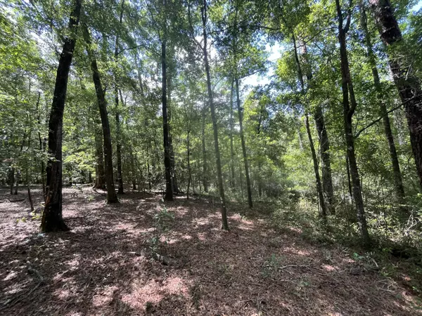 Walterboro, SC 29488,0-A Sniders Highway Interior