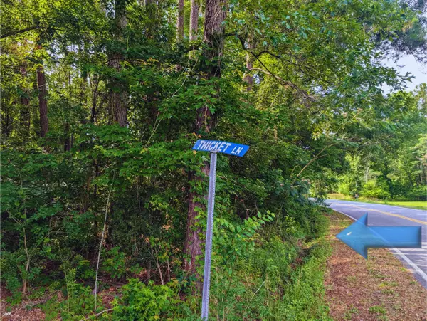 Saint Stephen, SC 29479,0 Thicket Ln