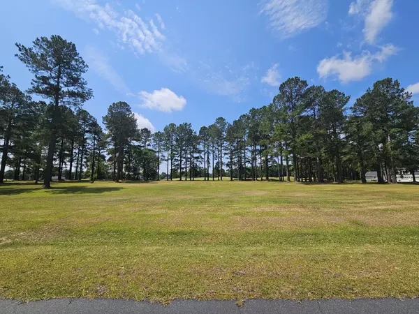 423 Pinelake Ct, Manning, SC 29102