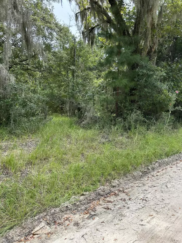 Wadmalaw Island, SC 29487,1476 Hezkiah Rd