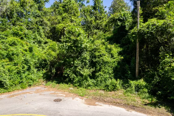 Walterboro, SC 29488,0 Moore St