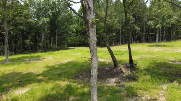 Huger, SC 29450,6 Steed Creek Rd