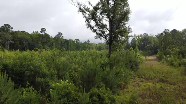 Ridgeville, SC 29472,126 Batten Way