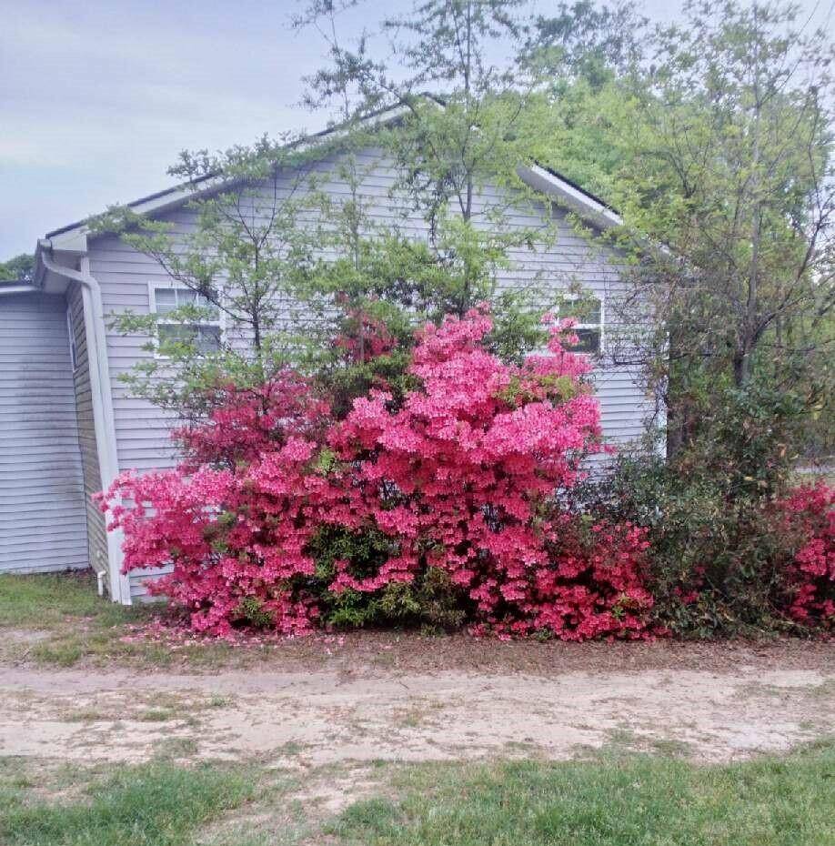 Summerton, SC 29148,1201 Crescent Dr