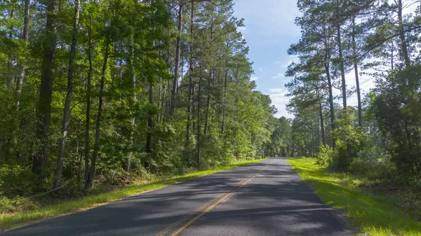 Saint Stephen, SC 29479,0 Betaw Rd