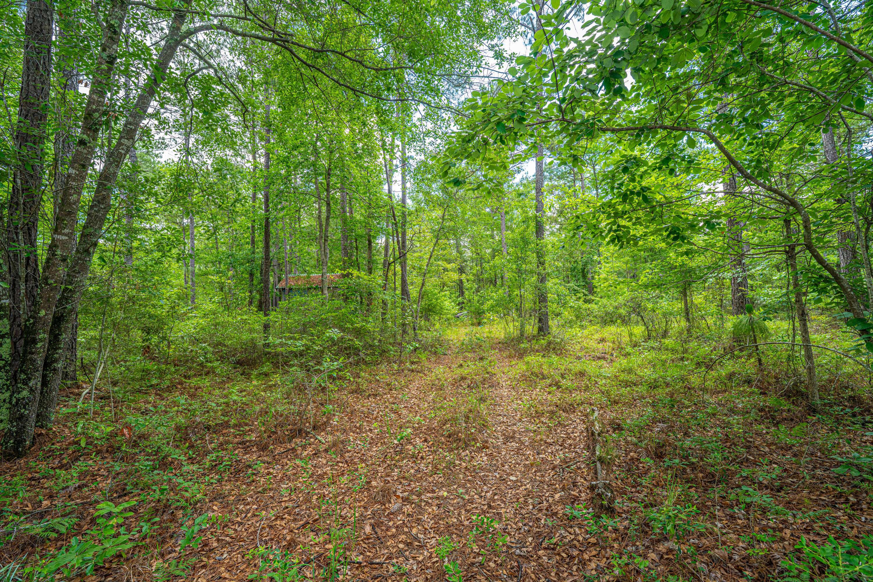 Huger, SC 29450,135 Timilstone Ct