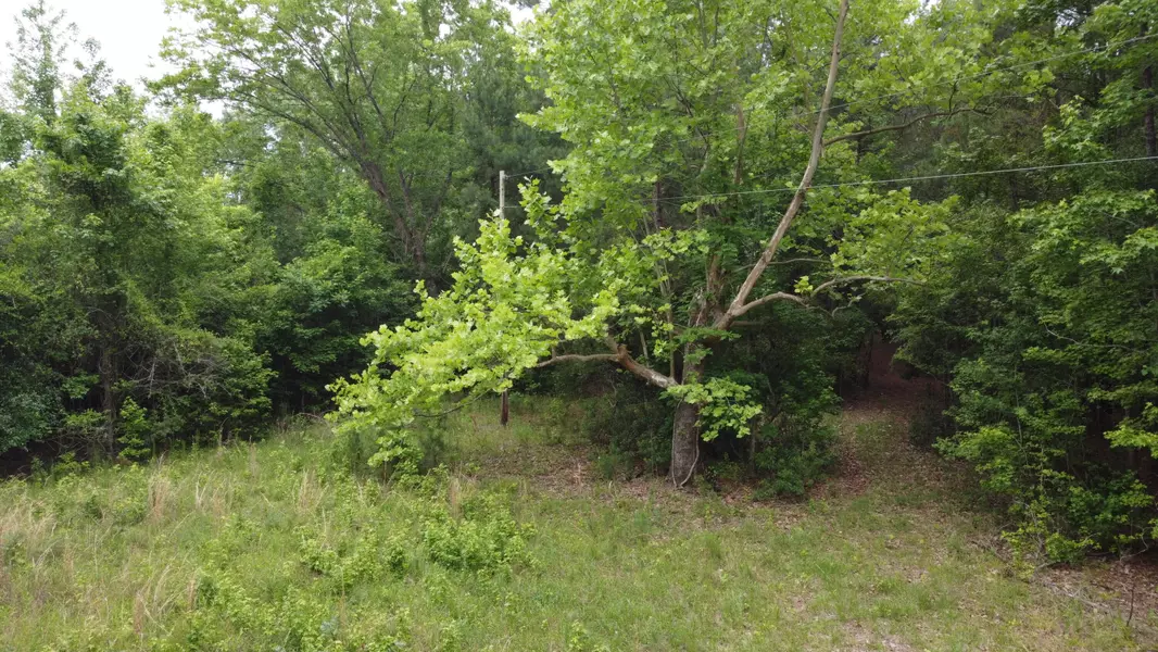 0 Liberty Church Rd, Manning, SC 29102