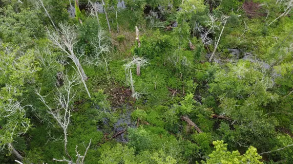 Manning, SC 29102,0 Liberty Church Rd