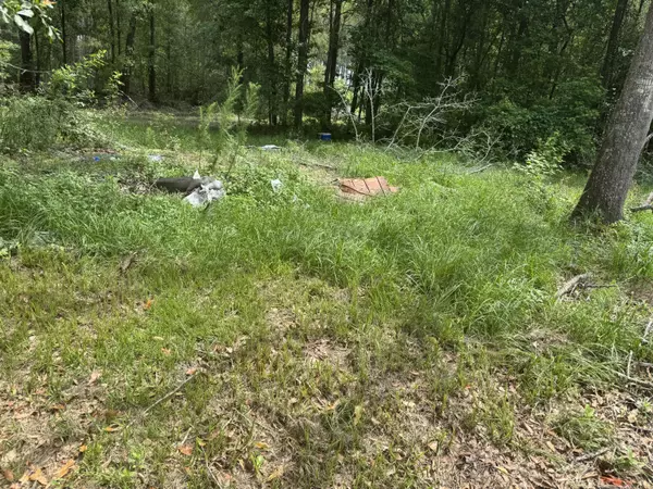 Estill, SC 29918,314 Dakota Dr