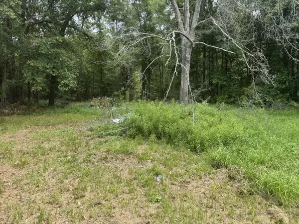 Estill, SC 29918,314 Dakota Dr