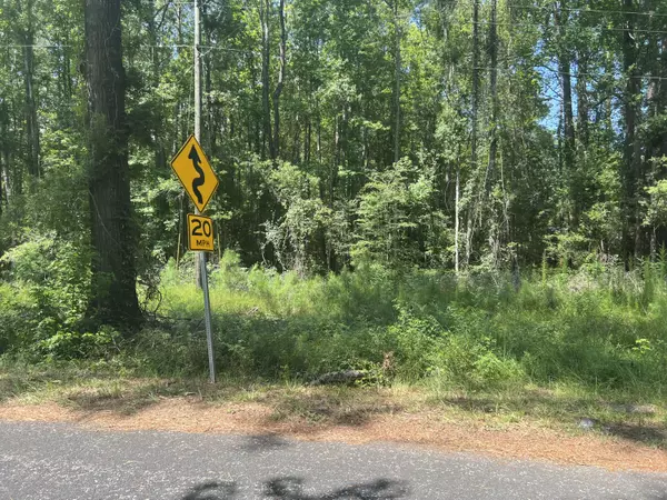 3682 Prices Bridge Lane, Walterboro, SC 29488