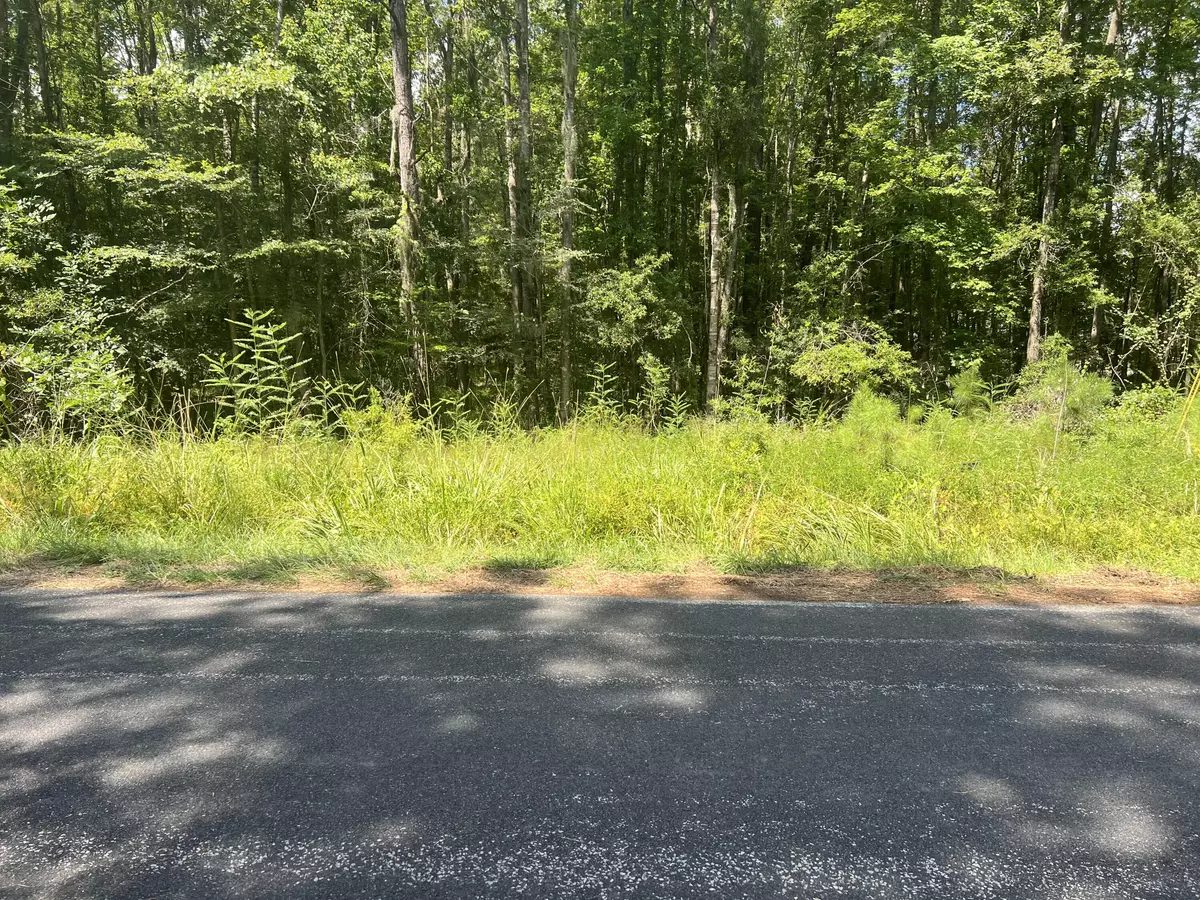 Walterboro, SC 29488,3670 Prices Bridge Lane