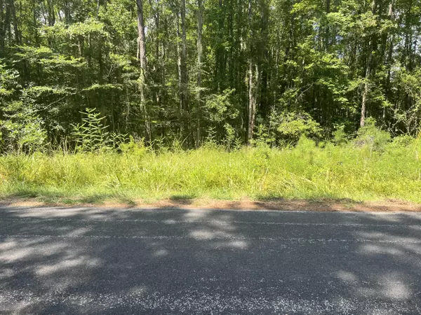 3670 Prices Bridge Lane, Walterboro, SC 29488