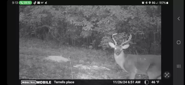 Walterboro, SC 29488,0 Glen St