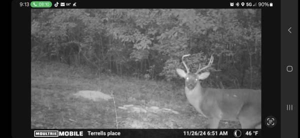 Walterboro, SC 29488,0 Glen St