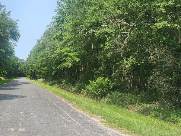 Islandton, SC 29929,0 Marsh Rd Interior Parcel Rd