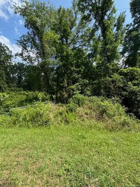 00 Bluebird Trl, Saint George, SC 29477
