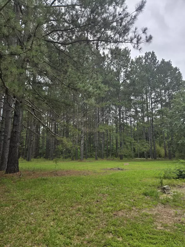 Reevesville, SC 29471,194 Sunnydale Rd