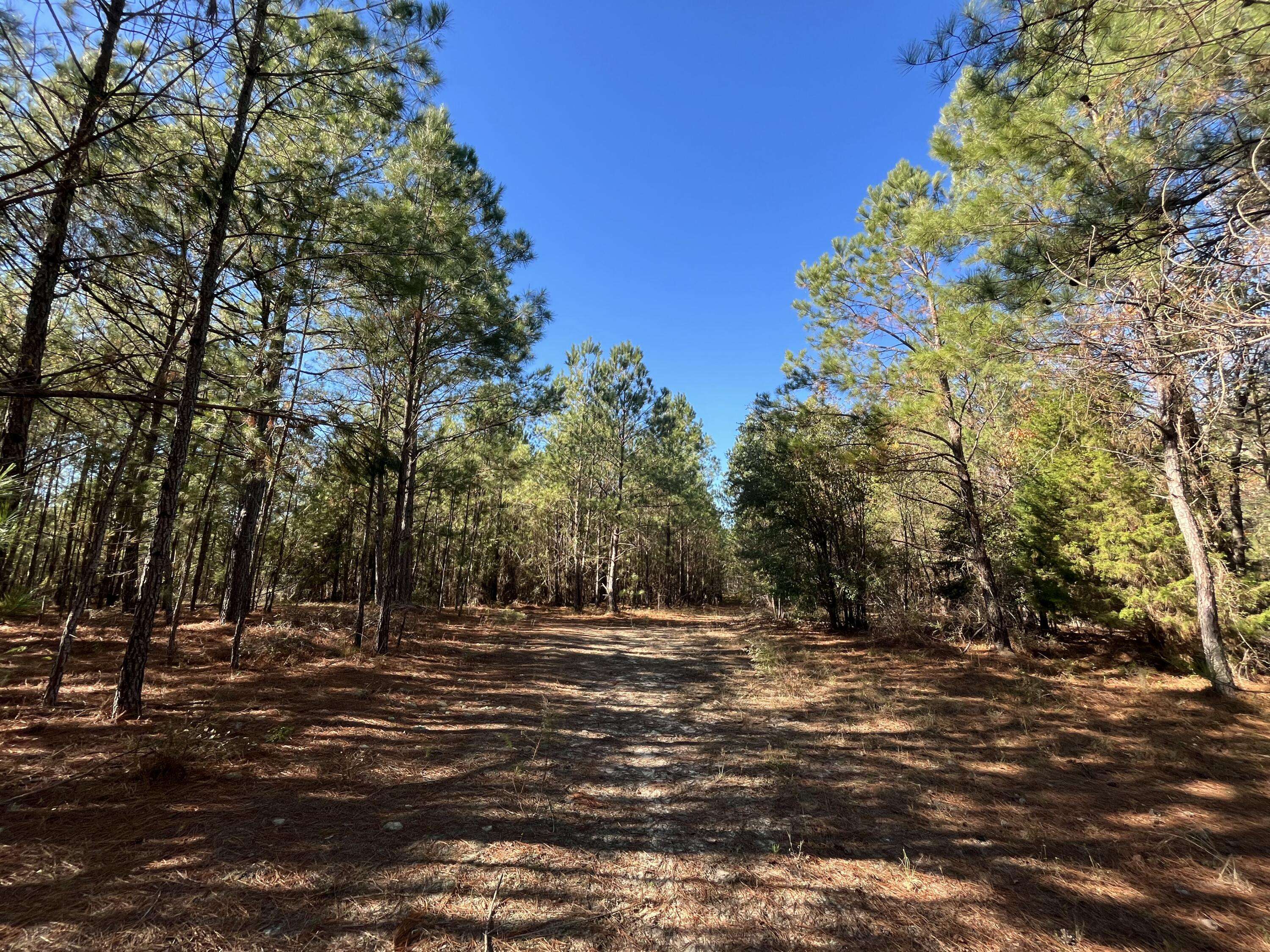 0000 S-3-52, Allendale, SC 29810