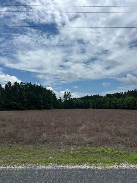 Saint George, SC 29477,Lot B-1 Reeves Farm Rd