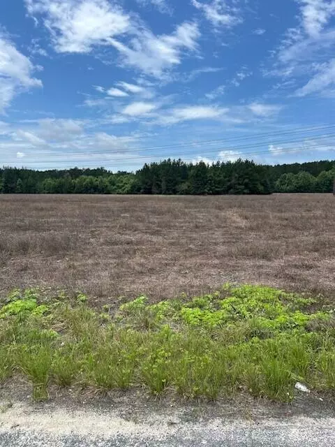 Saint George, SC 29477,Lot B-1 Reeves Farm Rd