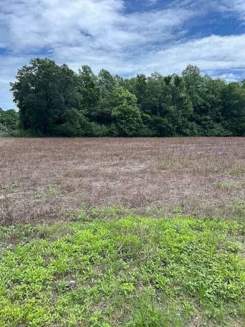 Saint George, SC 29477,Lot B-3 Reeves Farm Rd