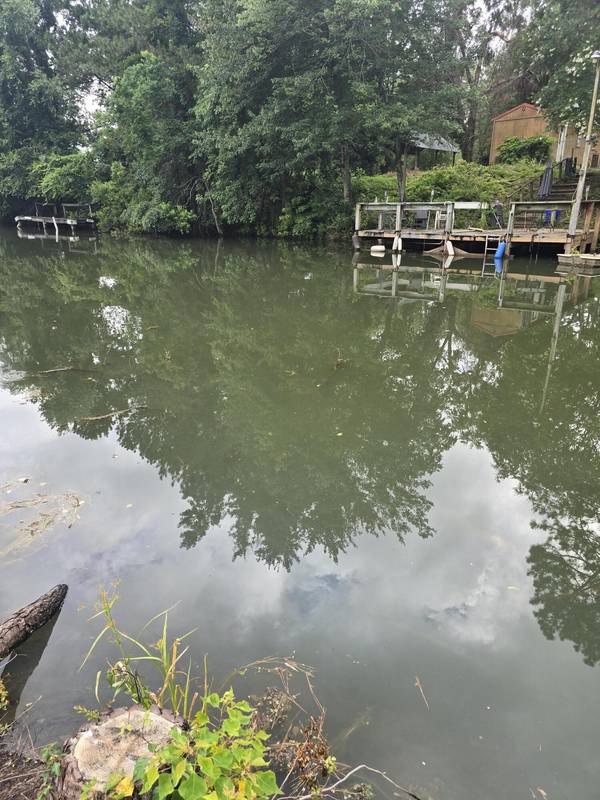 1093 Denwood Ln, Summerton, SC 29148