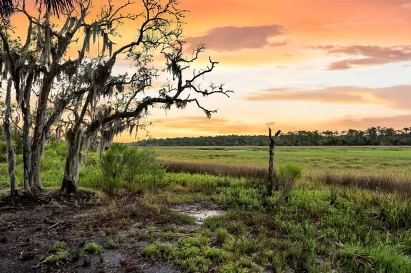 Hollywood, SC 29449,4352 Park Island Rd