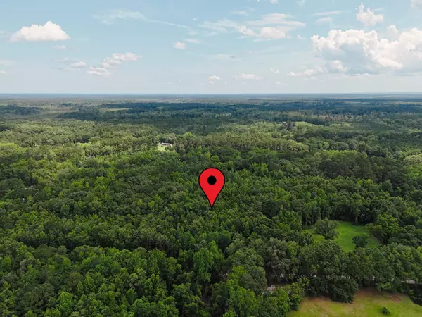 Green Pond, SC 29446,0 Rowdy Ln