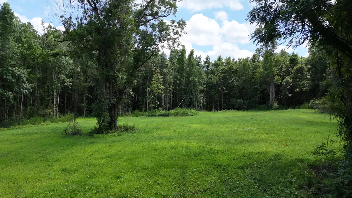 Green Pond, SC 29446,0 Rowdy Ln